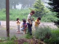 自然の色を探しています。ラベンダーは紫かな?